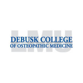 Lincoln Memorial University DeBusk Secondary Application