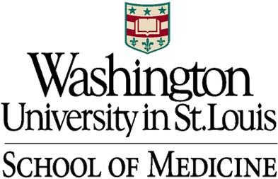 Washington University in St. Louis Secondary Application