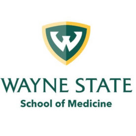 Wayne State University Secondary Application