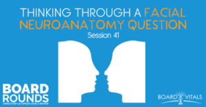BR 41: Thinking Through a Facial Neuroanatomy Question