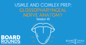 BR 45: USMLE and COMLEX Prep: Glossopharyngeal Nerve Anatomy