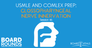 BR 46: USMLE and COMLEX Prep: Glossopharyngeal Nerve Innervation