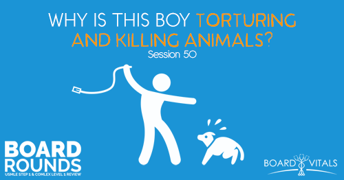 BR 50: Why Is This Boy Torturing and Killing Animals?