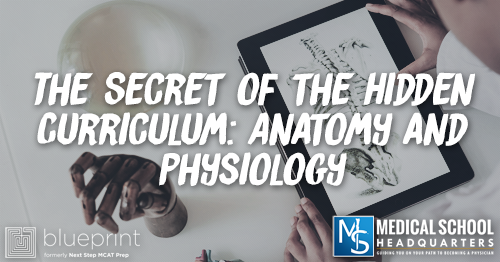 MP 328: The Secret of the Hidden Curriculum: Anatomy and Physiology